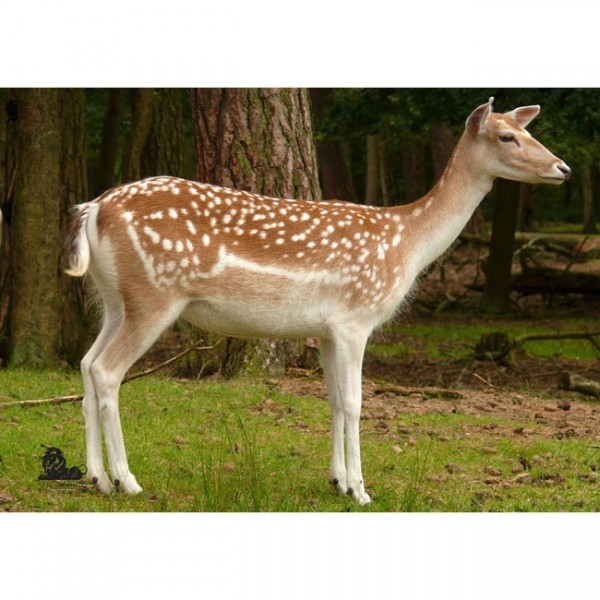 Tierauflage Damwild II, 59 x 84 cm