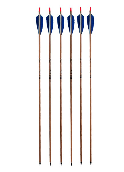 6er Pack Traditional Hunter Carbon 4'' Befiederung 30'' 3555