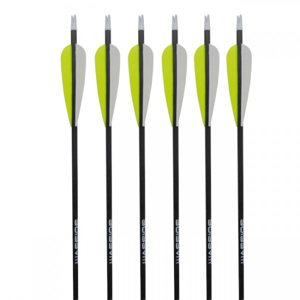 6er Pack Warrior Carbonpfeil mit Plastikfedern, Bestseller! 30'' 600