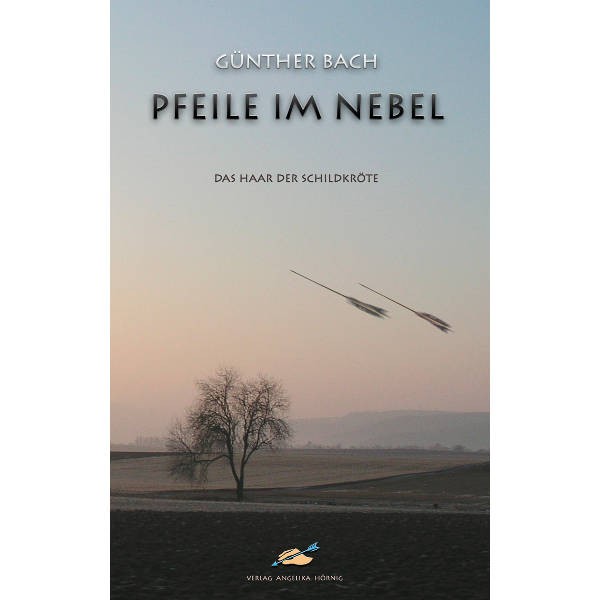 Pfeile im Nebel